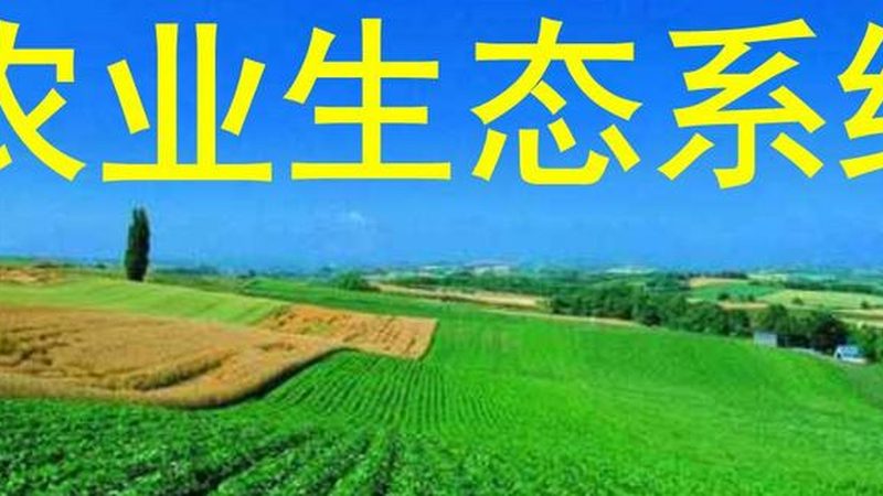 成都家庭农场加盟投资预算