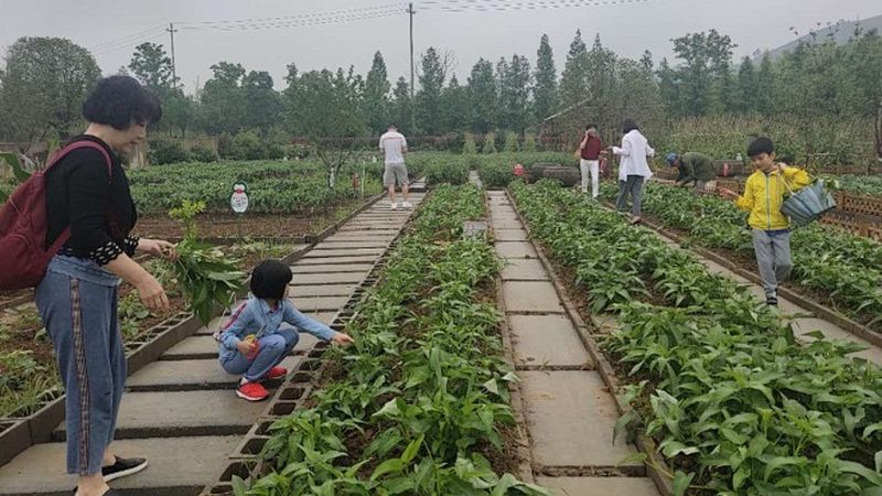 食堂配送服务选型，这三大误区最该避开