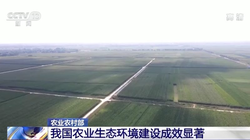 食堂食材配送哪个牌子靠谱