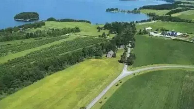 粮食种植土壤要求规范：从基础到实践指南