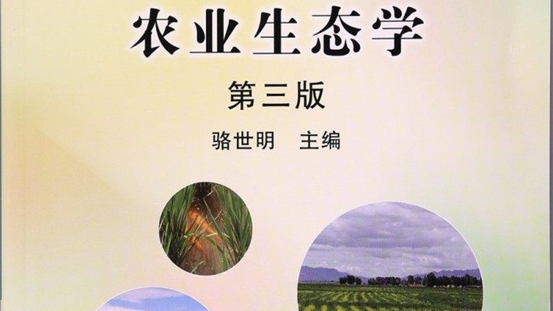 农产品直供渠道，如何选择更明智？**