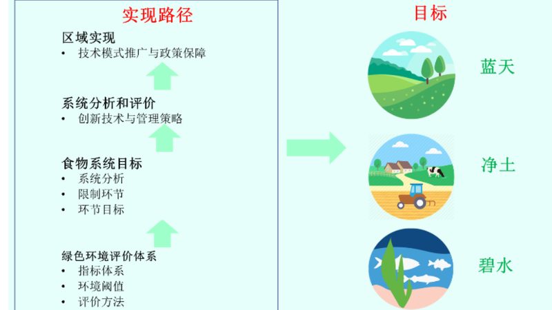 有机蔬菜配送材质选择，环保与品质双重考量