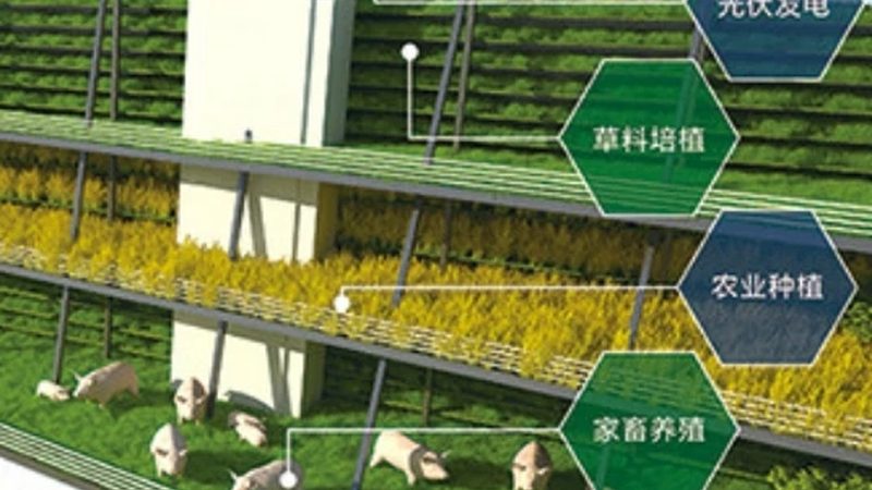 配送模式：从田间到餐桌的全程守护