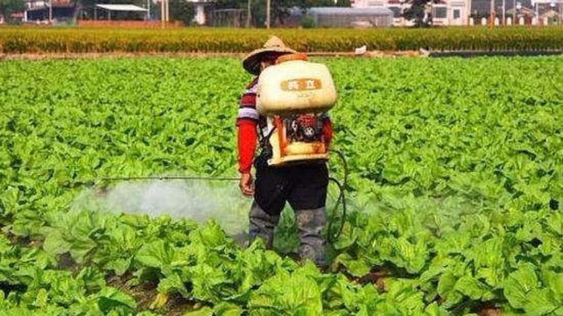 加盟政策是决定加盟成功与否的关键因素。以下方面值得投资者关注：