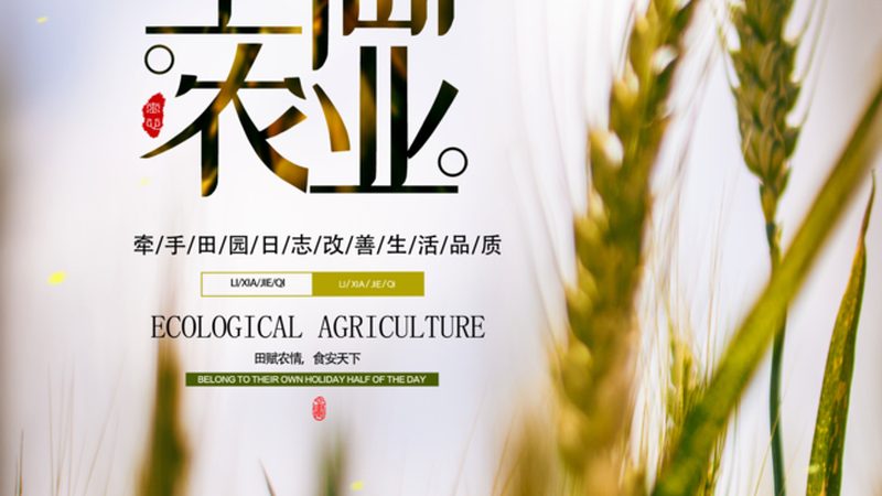 农产品包装设计公司价格表